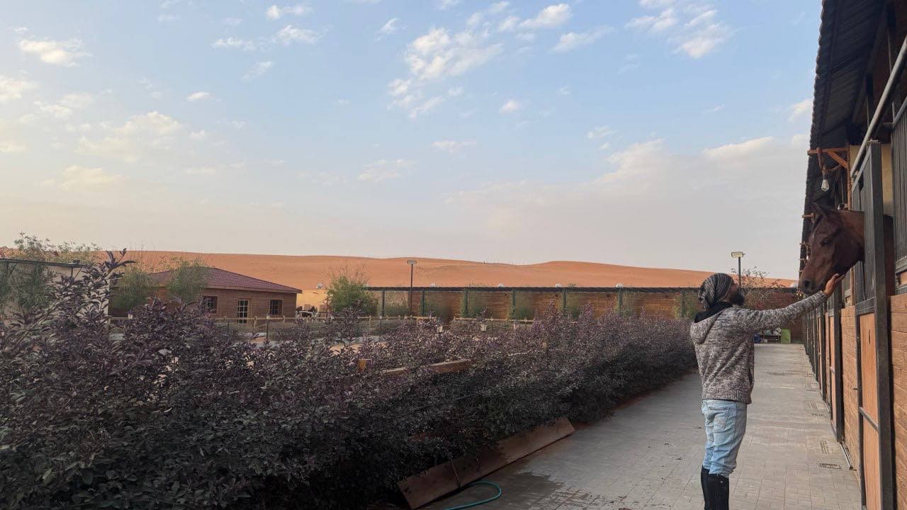 تجربة ركوب الخيل للمبتدئين مع التصوير الفوتوغرافي 